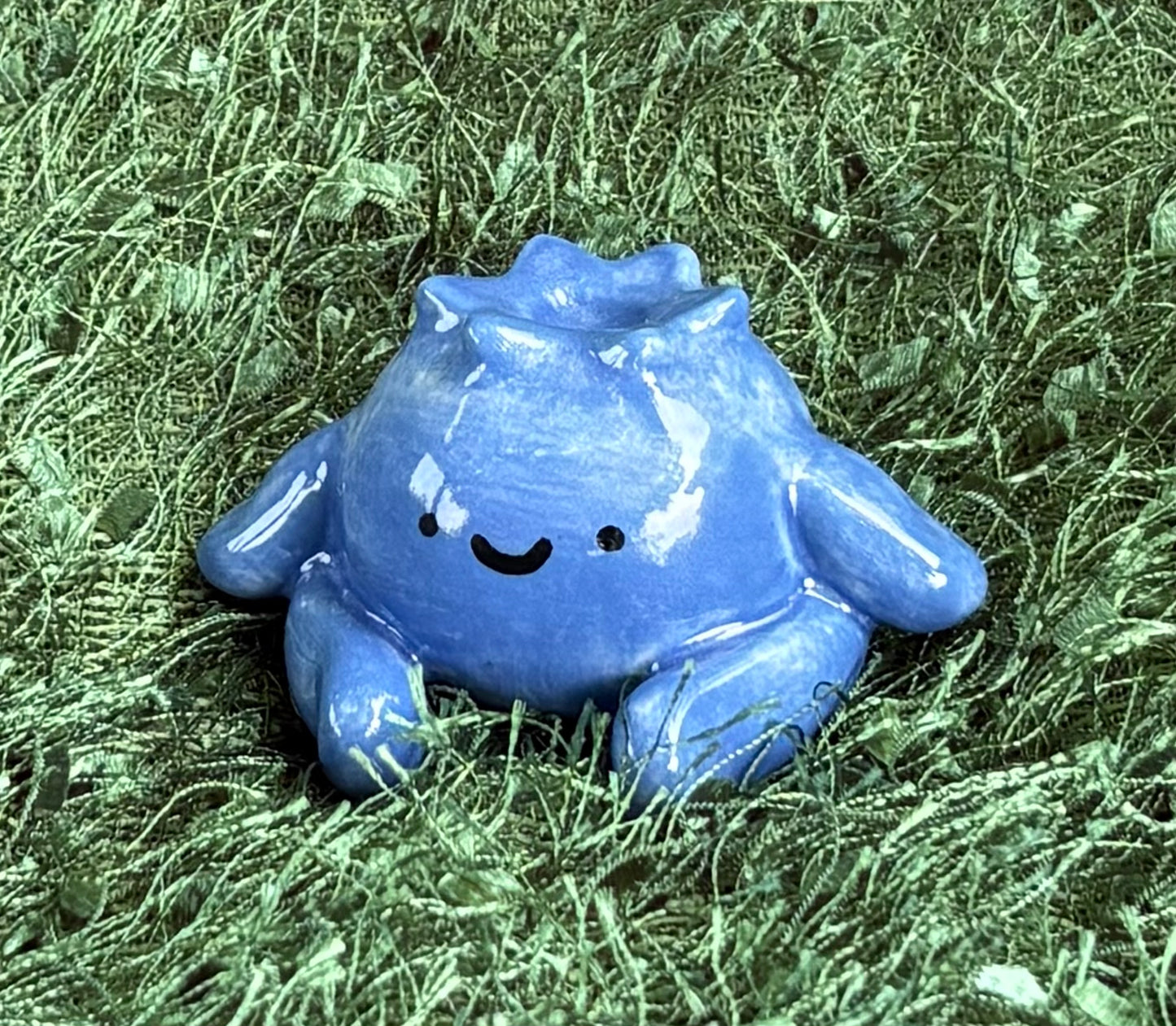 Blueberry Guy