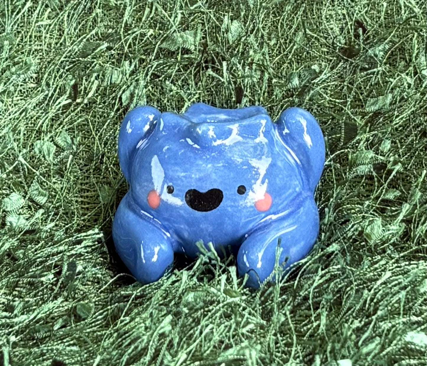 Blueberry Guy