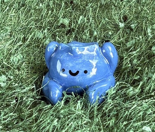 Blueberry Guy
