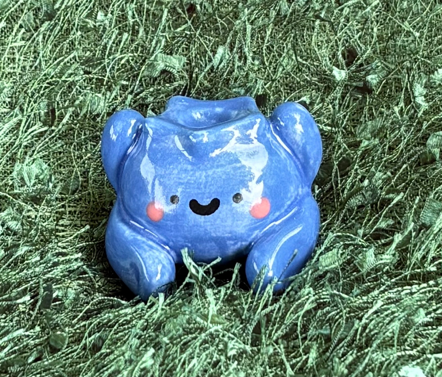 Blueberry Guy