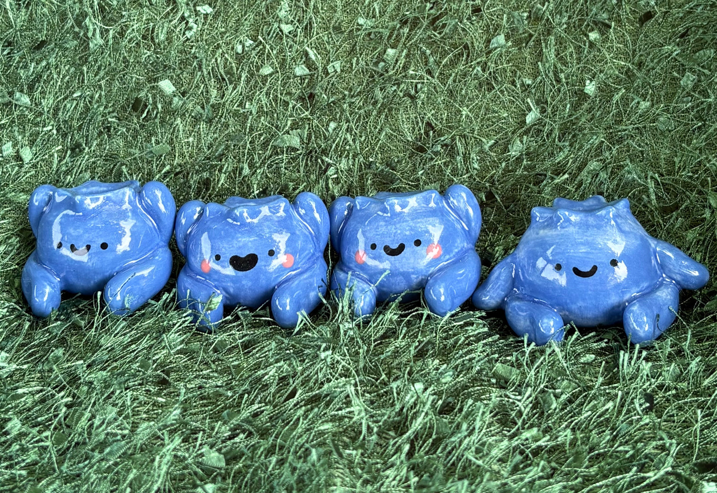 Blueberry Guy