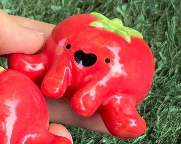 Tomato Guy
