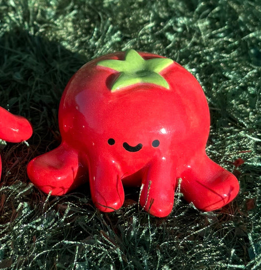 Tomato Guy