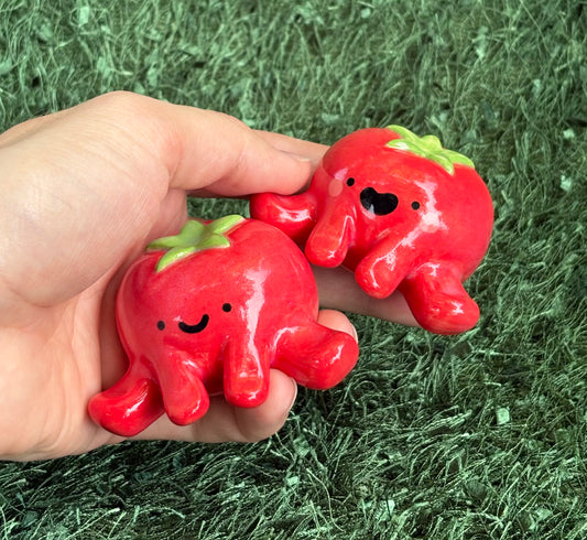 Tomato Guy